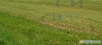 r�szletek