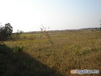 r�szletek